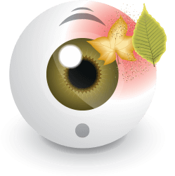 Eyeball Foreign Bodies Foreign Bodies - Common Eye Problems