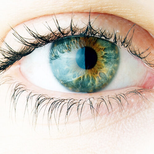 Eye Exam at Looking Glass Optical