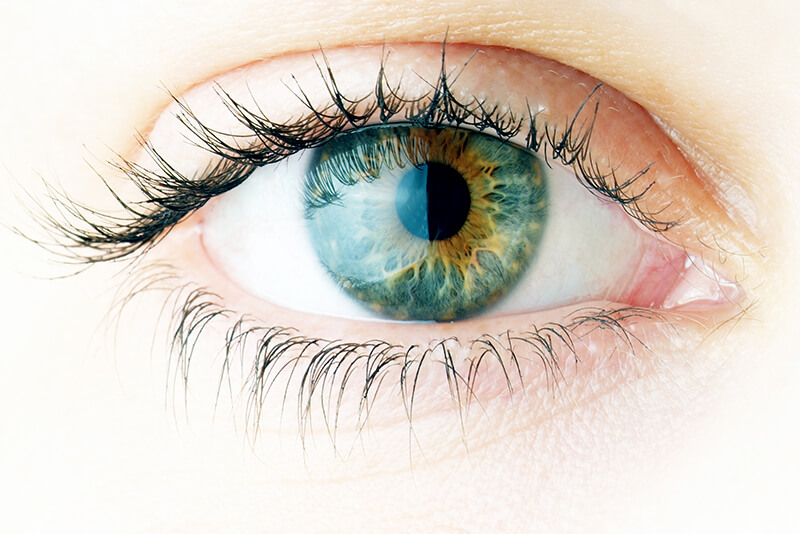 Eye Exam at Looking Glass Optical
