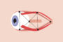 Optic Atrophy - Eye Model